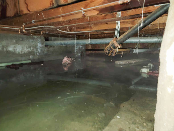 Best Basement water damage restoration  in Baidland, PA
