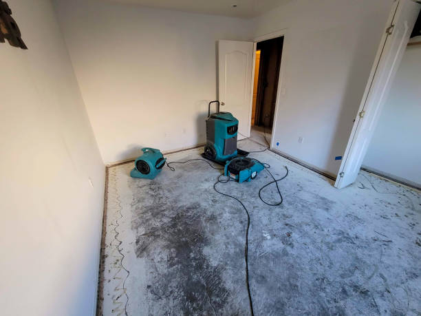 Best Carpet water damage restoration  in Baidland, PA