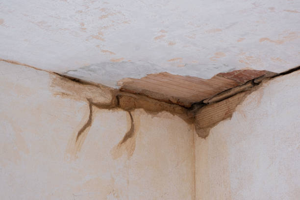 Best Water damage restoration insurance claims  in Baidland, PA