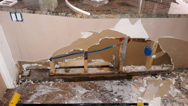 Best Ceiling water damage repair  in Baidland, PA