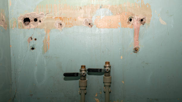 Best Flood damage cleanup  in Baidland, PA