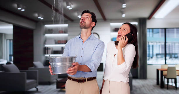 Best Carpet water damage restoration  in Baidland, PA