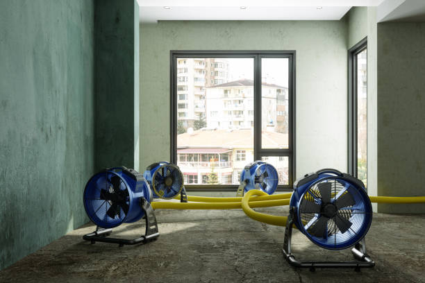 Best Water damage restoration near me  in Baidland, PA
