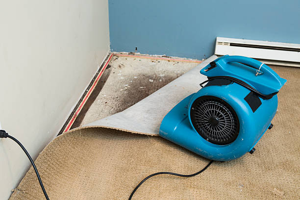 Best Water damage restoration services  in Baidland, PA